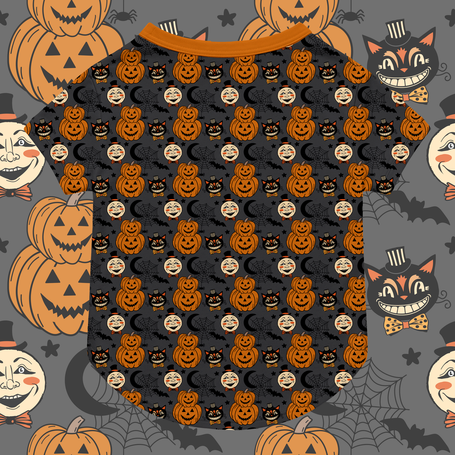 Spooky Halloween: Cozy Pets
